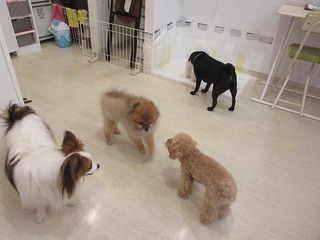 IMG_2976.jpg