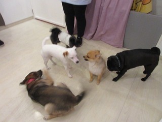 IMG_2984.jpg