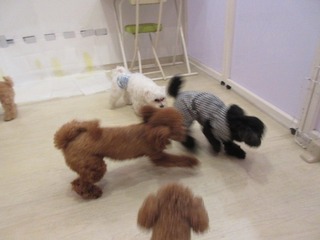 IMG_2993.jpg