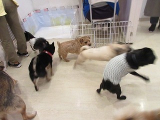 IMG_2993.jpg