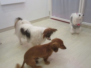 IMG_2994.jpg