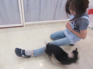 IMG_3012.jpg