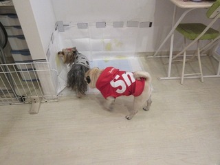 IMG_3028.jpg