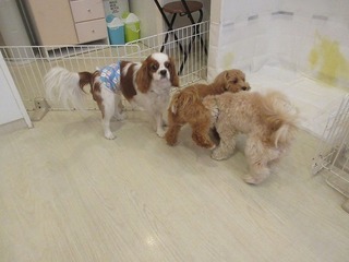 IMG_3057.jpg