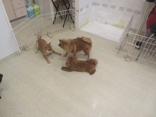 IMG_3067.jpg