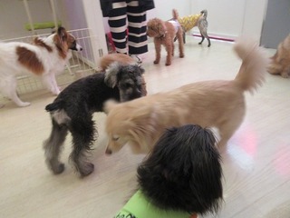 IMG_3156.jpg