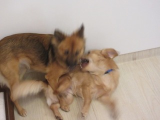IMG_3244.jpg
