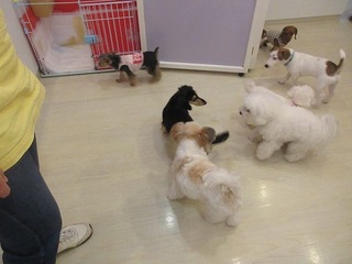 IMG_3269.jpg