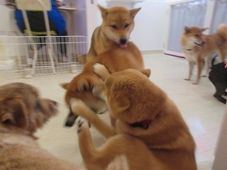 IMG_3280.jpg