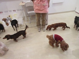 IMG_3284.jpg