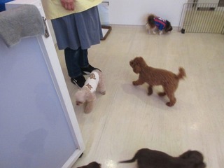 IMG_3320.jpg