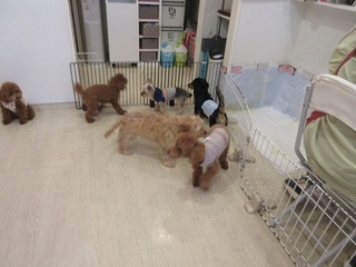 IMG_3447.jpg
