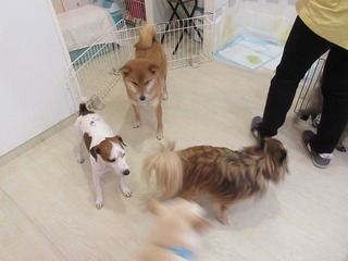 IMG_3476.jpg
