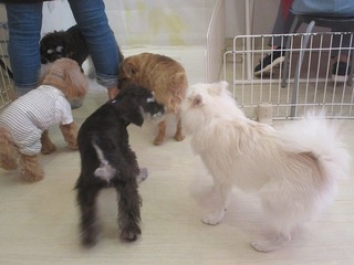 IMG_3496.jpg