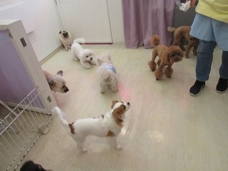 IMG_3532.jpg