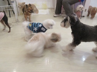 IMG_3553.jpg