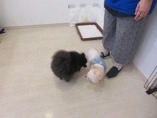 IMG_3555.jpg