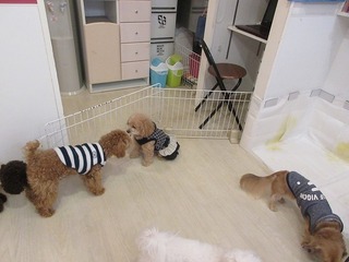 IMG_3557.jpg