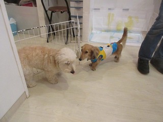 IMG_3562.jpg