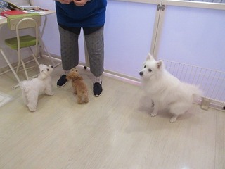 IMG_3563.jpg