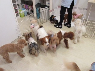IMG_3620.jpg