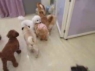 IMG_3657.jpg