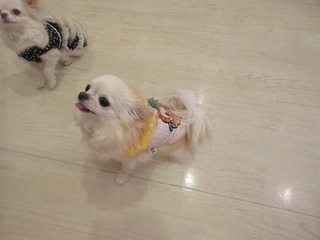 IMG_3683.jpg