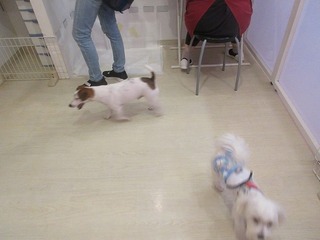 IMG_3706.jpg