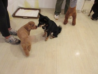 IMG_3717.jpg