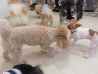 IMG_3721.jpg