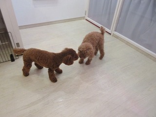 IMG_3750.jpg
