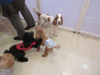 IMG_3759.jpg