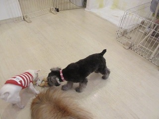 IMG_3766.jpg