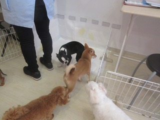 IMG_3772.jpg