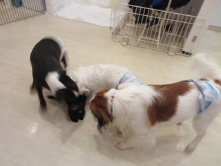 IMG_3773.jpg
