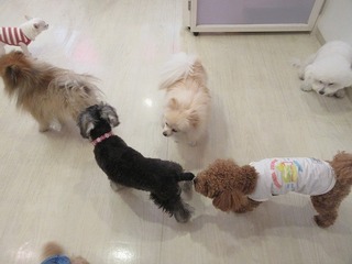 IMG_3782.jpg