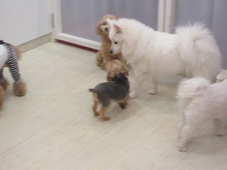 IMG_3792.jpg