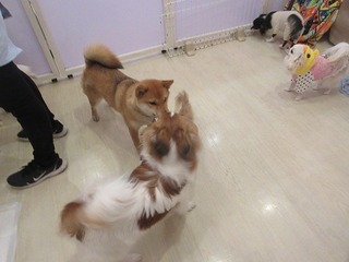 IMG_3795.jpg