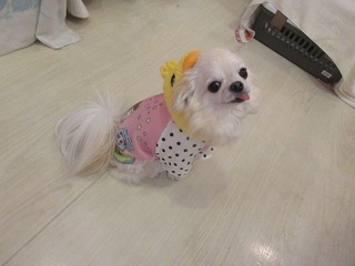 IMG_3800.jpg
