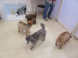 IMG_3806.jpg