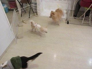 IMG_3810.jpg