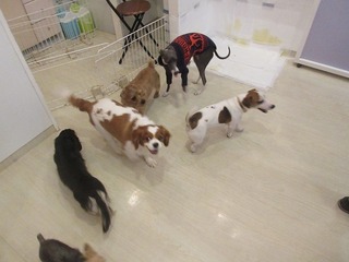 IMG_3837.jpg