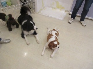 IMG_3859.jpg