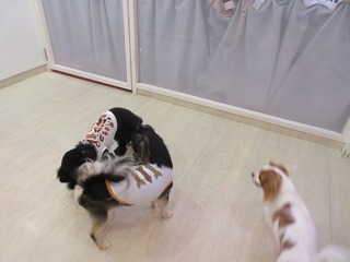 IMG_3870.jpg