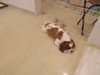 IMG_3874.jpg
