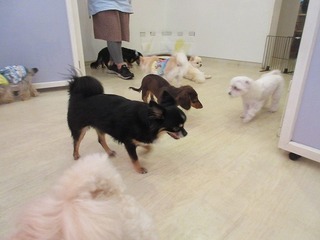 IMG_3912.jpg