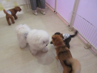 IMG_3926.jpg
