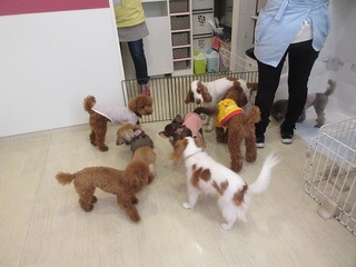 IMG_3941.jpg