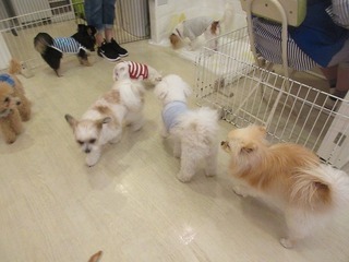 IMG_3957.jpg