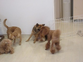 IMG_3970.jpg